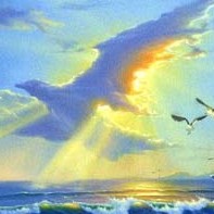 Enchanted Sea