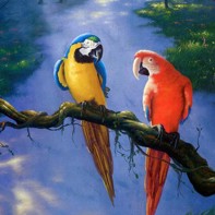 Worlds Colors of the rainbow