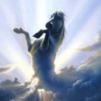 Wild spirit